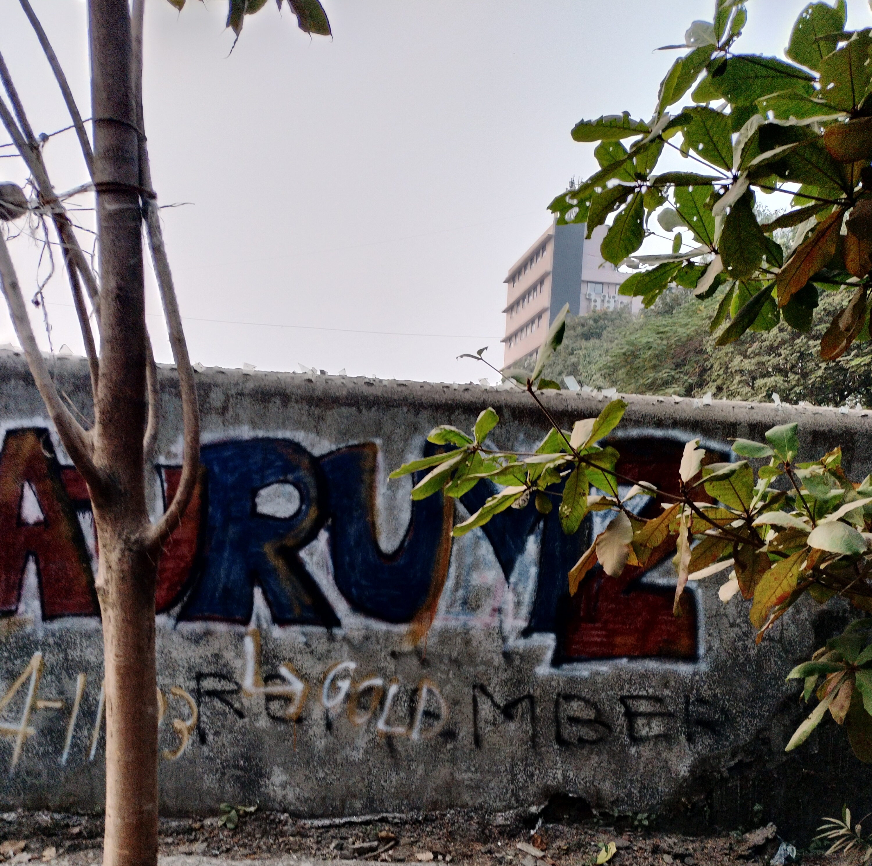 Personal graffiti art created near home by Aurumz